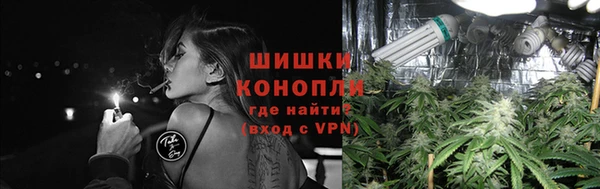 соль ск Белокуриха