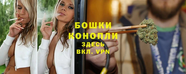 соль ск Белокуриха