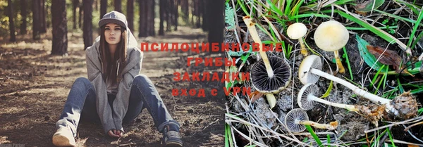 соль ск Белокуриха
