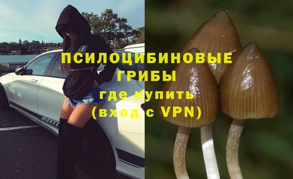 mdpv Беломорск