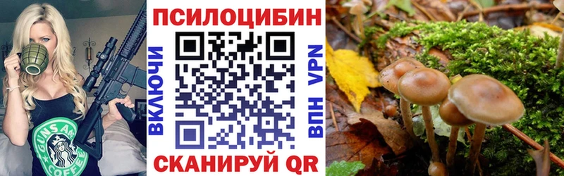 где можно купить наркотик  Воркута  Галлюциногенные грибы GOLDEN TEACHER 
